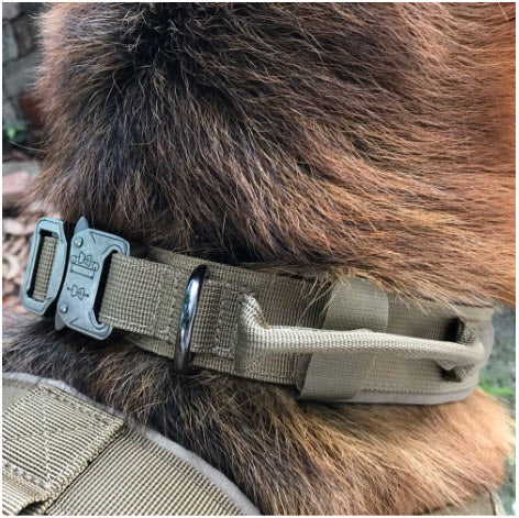 Tactical K-9 Collar - Dog Outdoor - Image 4