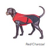 a dog wearing a red vest