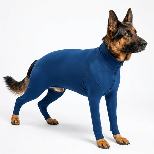 A German Shepherd wearing a full-body blue dog suit or wetsuit, standing in profile against a clean white studio background.