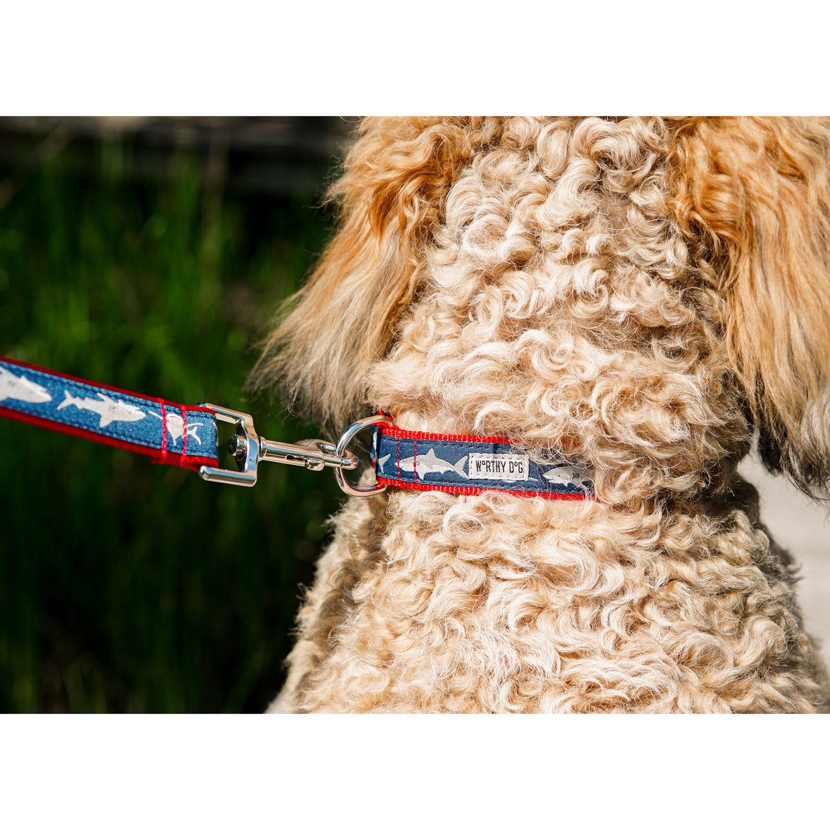Light-colored shark silhouettes on navy ribbon nylon dog leash, shown in use with matching collar; collar not included