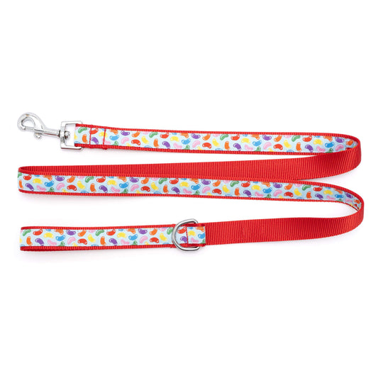 Jelly Beans blue ribbon dog leash with red nylon backing, flat strap and hardware detail