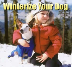 a child and a dog in the snow
