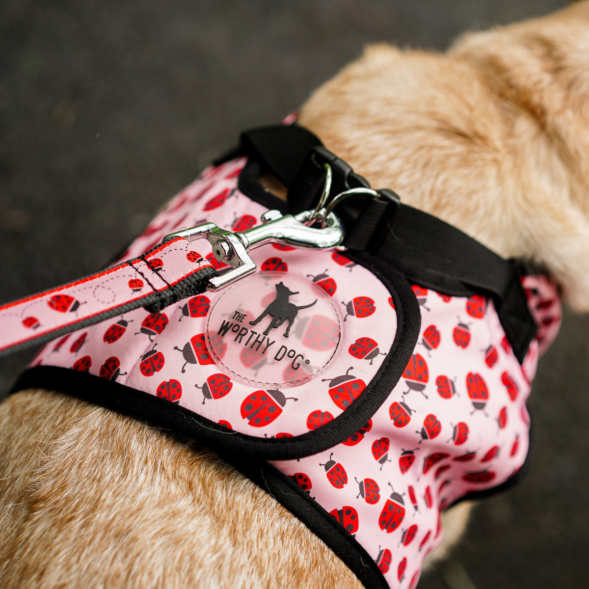 Pink Ladybug Step-In Dog Harness in pink ladybugs, product view 5