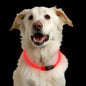 Nite Ize NiteHowl Safety Necklace - Dog Safety
