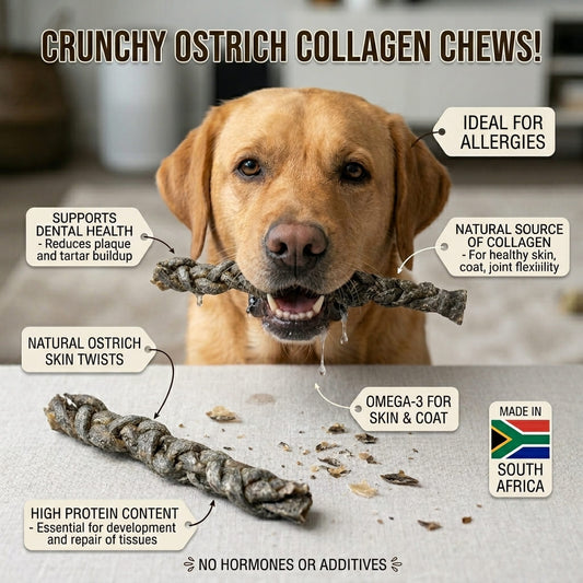 Ostrich Skin Twists - Dog Treat - All Natural Premium Chew