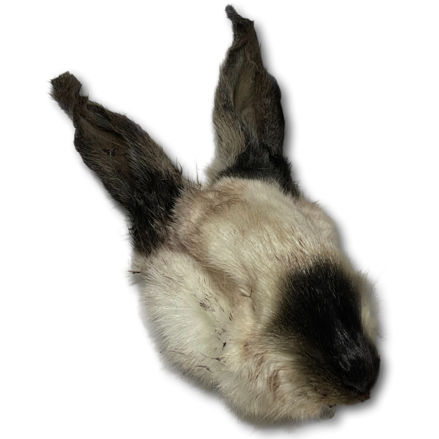 Dog Treat - Rabbit Head Whole Split