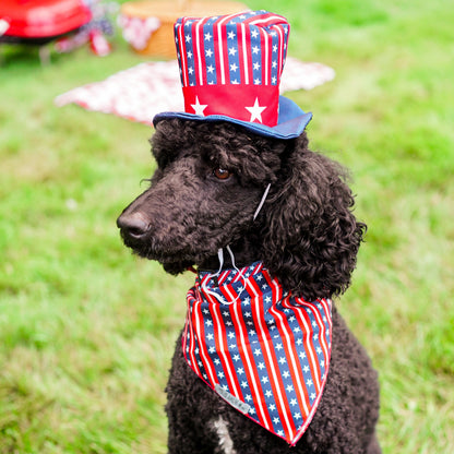 Uncle Sam Party Dog Hat – Nylon, Red/White/Blue, Sizes S, L